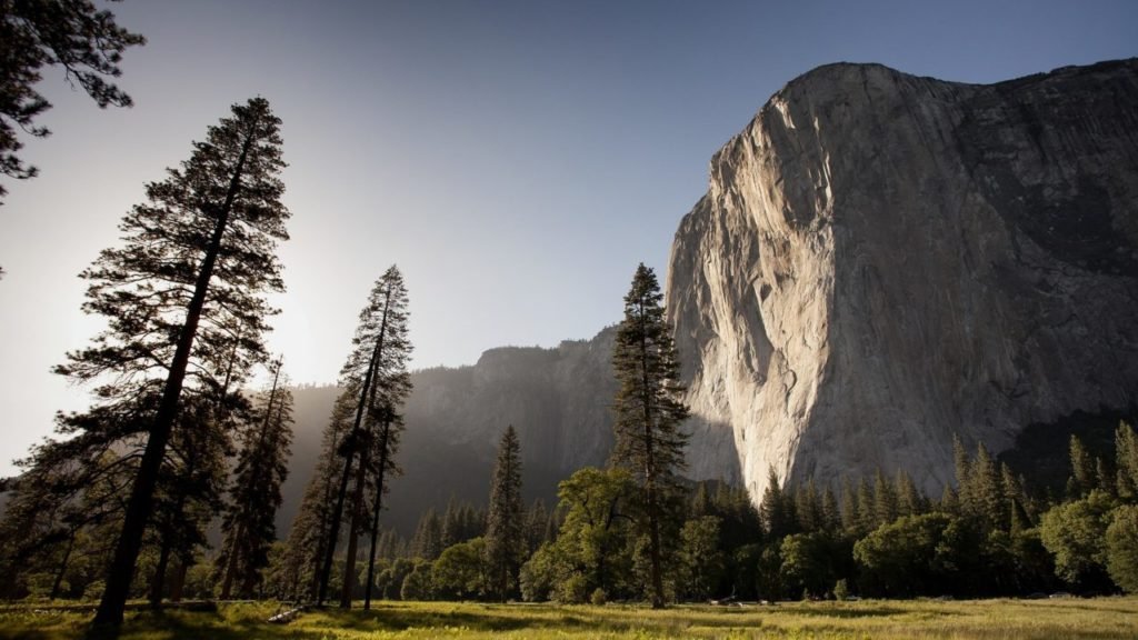 Alex Honnold excerpt from Alone on the Wall el capitan