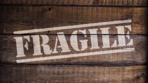 Read more about the article How to Remain Fragile