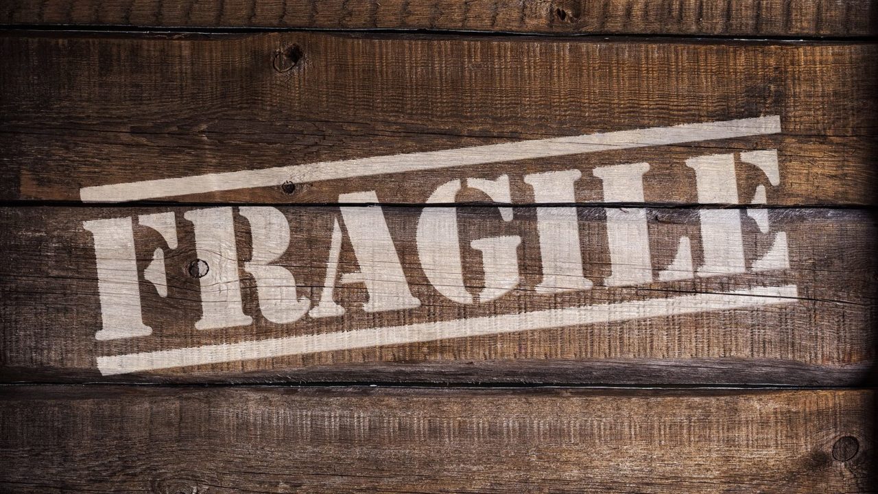 Read more about the article How to Remain Fragile