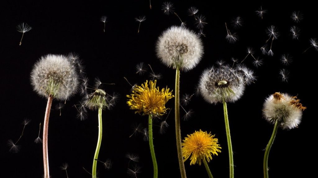Sean Carroll excerpt from The Big Picture happiness