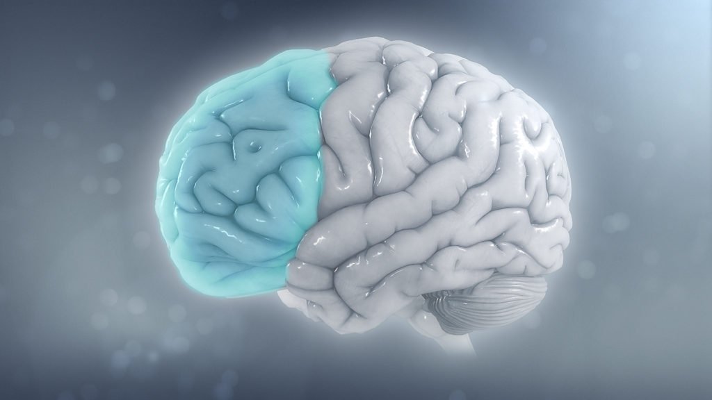 Seven and a Half Lessons about the Brain comments